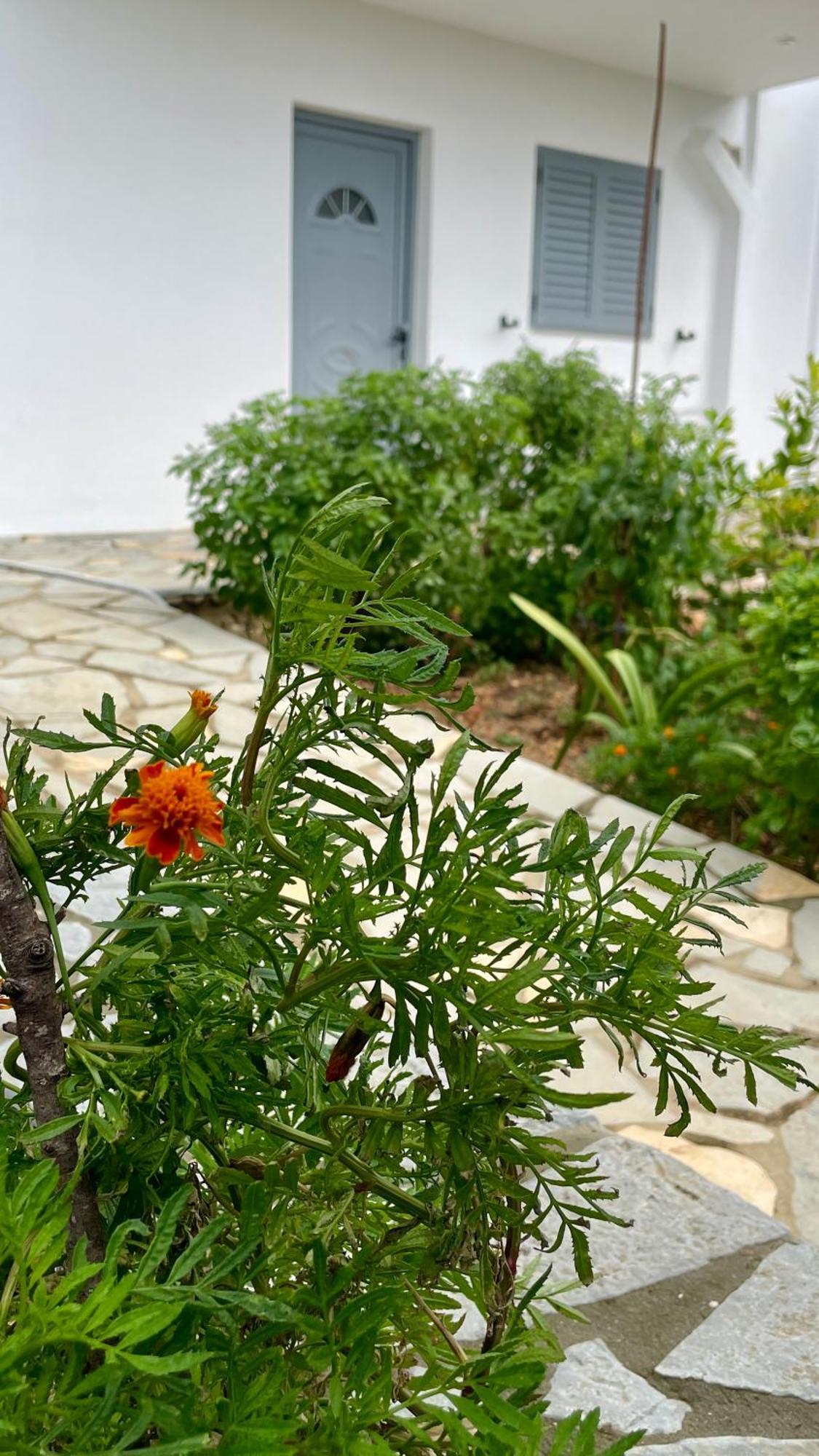 Tasos Rooms Himara Kültér fotó